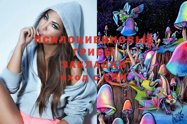 марки lsd Алексеевка