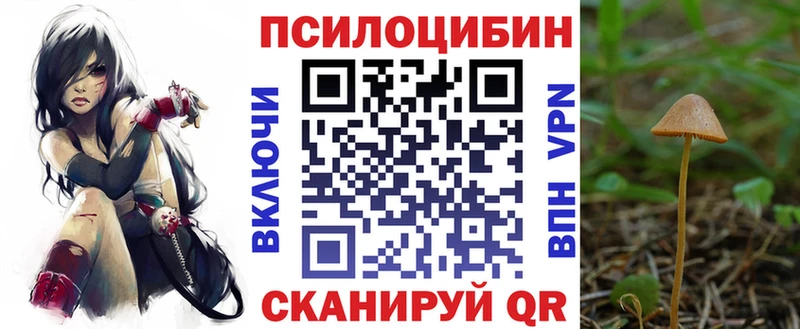 ссылка на мегу tor  Алексеевка  Галлюциногенные грибы Psilocybine cubensis 